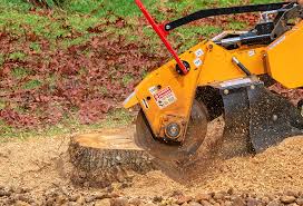 Best Firewood Processing and Delivery  in Erie, CO