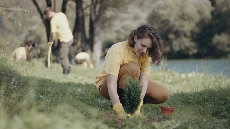 Lawn Drainage Solutions in Erie, CO
